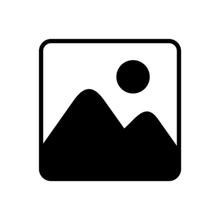 Picture icon vector. photo gallery icon symbol