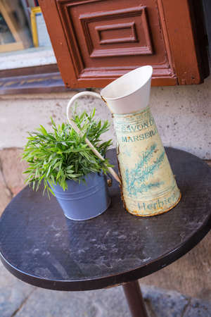 Still Life of Vase and Green Plant Standing on a Table Close to an Ornamented Windowsの写真素材