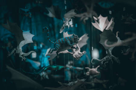 Cheshire cat and other colorful hanging toys. Flying characters from fantasy movies of magic on a shallow depth of field.のeditorial素材