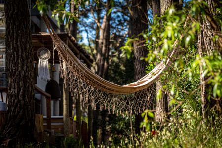 Lonely hammock among shade, sunlight and trees near the beach. Concept of relax, peace, resting and spare timeの写真素材