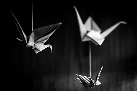 Deep bokeh of three origami swans hanging from the roof with a wooden background in black and whiteの写真素材