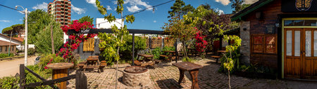 Panoramic view of lovely colorful outdoor pubs backyard full of red flowers hanging from a pergola on a sunny dayの写真素材