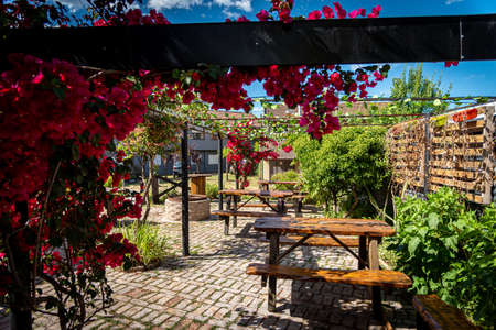 Lovely colorful outdoor pubs backyard full of red flowers hanging from a pergola on a bright sunny dayの写真素材