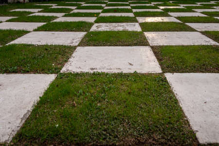 Grid Garden with Grass and Quad White Tilesの写真素材