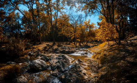 Stream of Paseo de los Arroyos in Villa General Belgrano on a sunny dayの写真素材