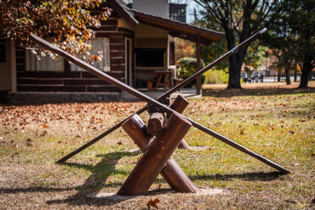 Wooden seesaw for kids at the outdoor playground in autumn with dry leaves all aroundの写真素材