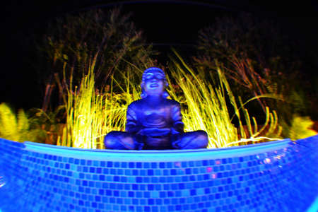 buddha statueの素材