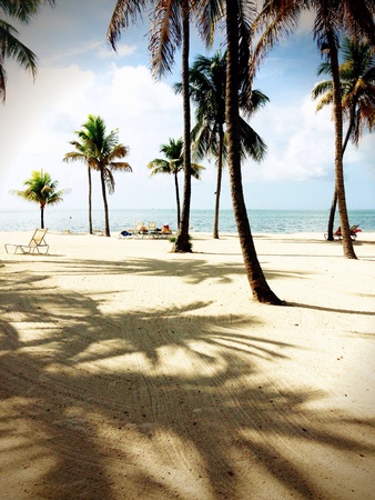 A day in the keys.の素材