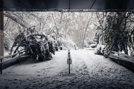 Gate to a public park in central Madrid covered in snow during the Filomena storm.の写真素材
