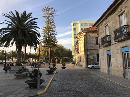 View of the town square with palm trees bushes and benches at Cambados Galicia Spainのeditorial素材