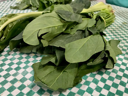 Raw chard on a green tablecloth, being prepared for cooking in a rustic kitchen setting.