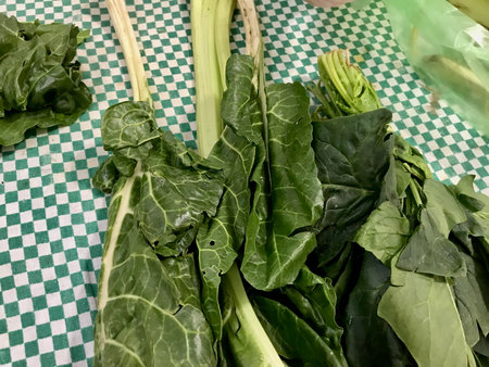 Raw chard on a green tablecloth, being prepared for cooking in a rustic kitchen setting.の写真素材