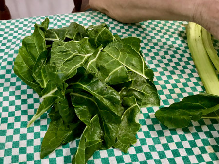 Raw chard on a green tablecloth, being prepared for cooking in a rustic kitchen setting.