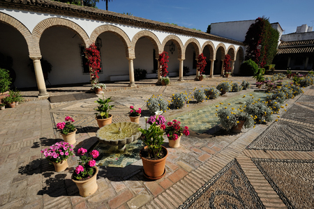 patio of the Palace of Marquis of Viana, Cordoba, Spainのeditorial素材