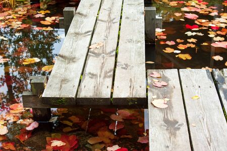 autumn leaves on the water near wooden board pier on the lake