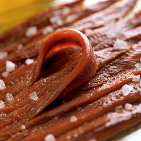 Salted anchovies from the Cantabrian Seaの写真素材