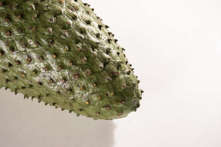 Ripe Soursop fruit isolated on white background.