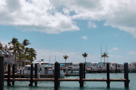 Pier with yachts and palm trees around with a beautiful blue sky with clouds in the backgroundのeditorial素材
