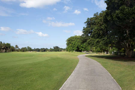 Concrete path in a park with lots of grass and leafy trees during a summer dayの写真素材