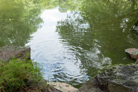 Rocks on the shore of a lake with ripples in the water and reflections of treesの写真素材