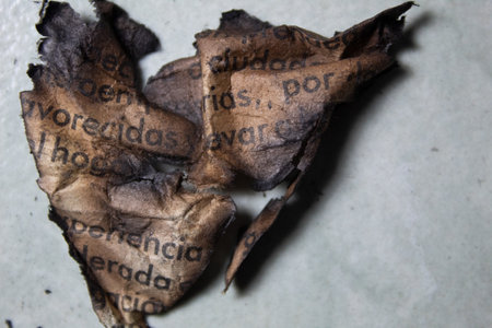 a sheet of burned newspaperの写真素材