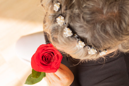 Overhead shot of a red rose held by an unrecognizable woman with gray hair.の写真素材
