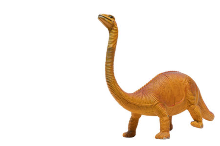 A dinosaur toy isolated on a white background. Brachiosaurus.の写真素材
