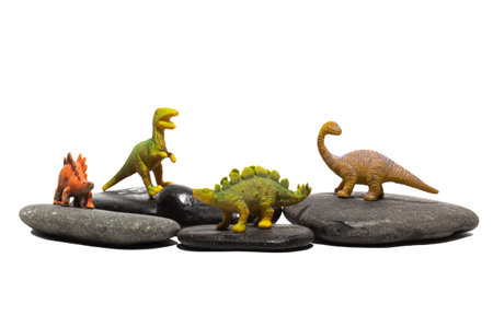 Four plastic toy dinosaurs on rocks isolated on a white background.の写真素材