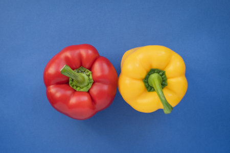 A red and yellow pepper on a blue background. Complimentary color style.の写真素材
