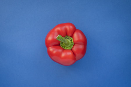 A red pepper on a blue background. Complimentary color style.の写真素材