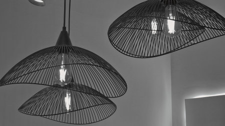Design lamps illuminated in black and whiteの写真素材