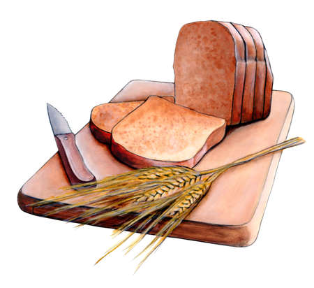 Fresh sliced bread and wheat on a wood cutting board. Original hand painted illustration.の写真素材