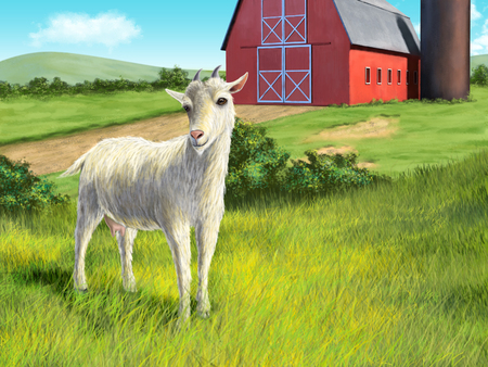Nice white goat in a rural landscape. Digital illustration.の写真素材