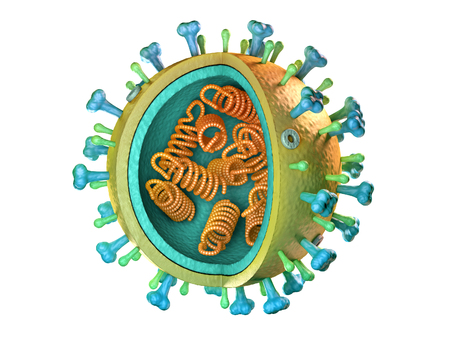 Influenza virus diagram. 3D illustration.の写真素材