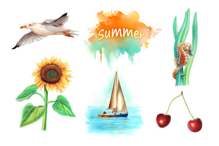 Collection of five summer themed watercolor illustrations, including a seagull, sunflower, seahorse, sail boat and some cherries. Traditional watercolor on paper.の写真素材