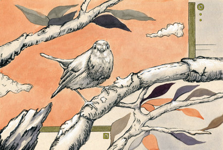 Ink drawing of an european robin with branches and leaves. Traditional illustration on paper.の写真素材