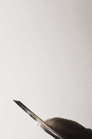 A fountain quill ink pen on a white page background.の写真素材