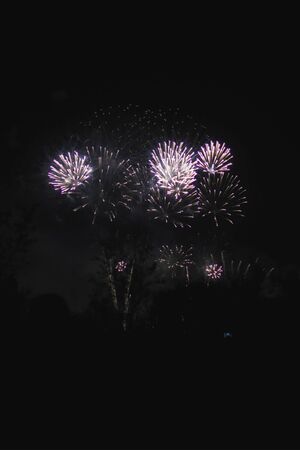 A colorful fireworks display in the night sky.