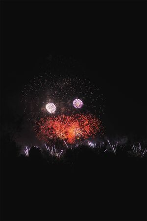 A colorful fireworks display in the night sky.