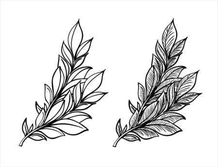 Hand sketched vector vintage elements ( laurels, frames, leaves, flowers, swirls, feathers). Wild and free. Perfect for invitations, greeting cards, quotes, blogs, posters.のイラスト素材