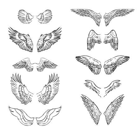 Hand drawn wing set.Sticker wing tattoo.Doodle and sketch style wing of bird tattooのイラスト素材