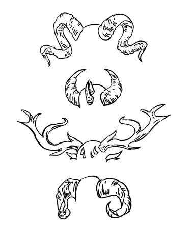 Collection Of Hand Drawn Different Animals Horns. Sketch Horns Of Deer, Antelope, Ram, Sheep, Elk. Boho And Rustic Illustrationのイラスト素材