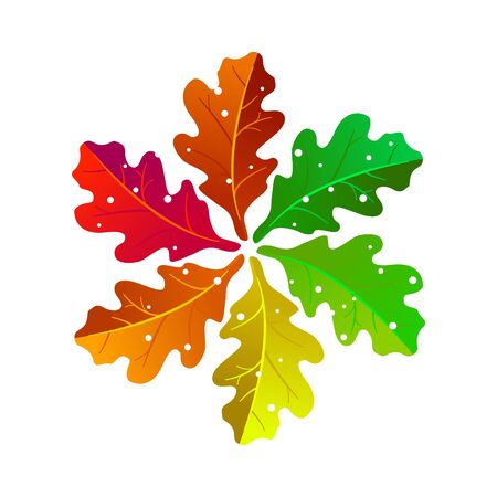 Autumn leaves in the form of a snowflake. Autumn coenfall. Elements for flyers, sales and discounts. Vector illustrationのイラスト素材