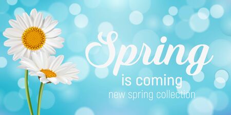 Chamomile Floral background and spring lettering comes. Vector illustration EPS10のイラスト素材