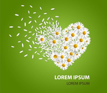 Beautiful daisy flowers laid out in the shape of a heart. On a green background. Vector postcard designのイラスト素材