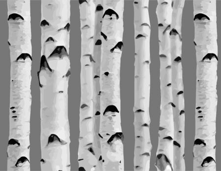 Birch tree. Seamless pattern. Fabric Design element for wallpapers, web site background, baby shower invitation, birthday card, scrapbooking, fabric print etc. Vector illustration.のイラスト素材