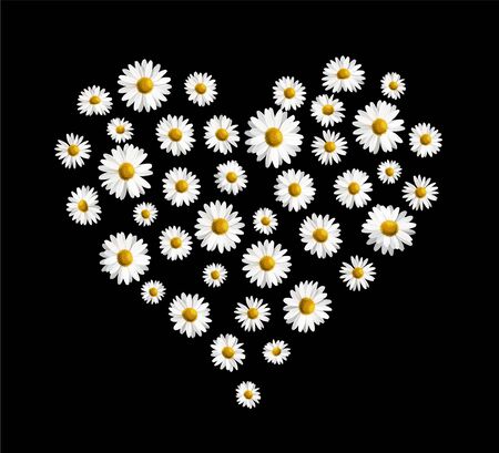 Daisy flower heart embroidery print. Vectorのイラスト素材