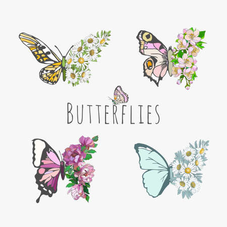 Set of butterflies and flowers, floral design, chamomile, magnolias. Stationery, mug, t-shirt, phone case fashion slogan spring summer style sticker, etc. Fashionable design Swallowtail Metamorphosisのイラスト素材