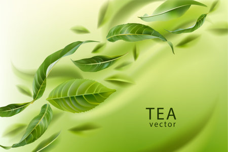 Green tea background. Tea leaves wiggle in the air. Tea leaves in motion. Element for design, advertising, packaging of tea products Vector illustration.のイラスト素材