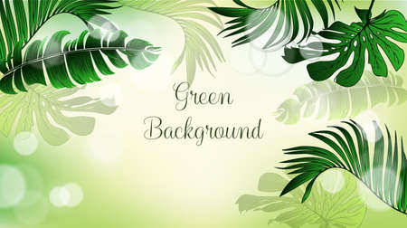 A branch with fresh green leaves - green background. vector graphicsのイラスト素材